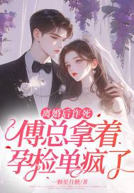 离婚后傅总他追悔莫及杜晚风