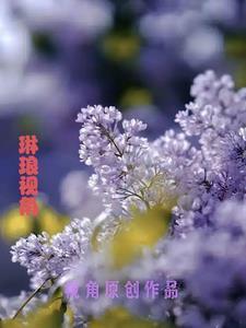 琳琅去哪里了