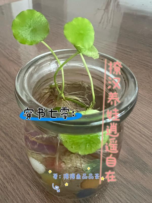 穿书七零撩汉养娃逍遥自在