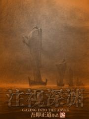 注视深渊多少字