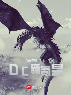 dc新氪星全文