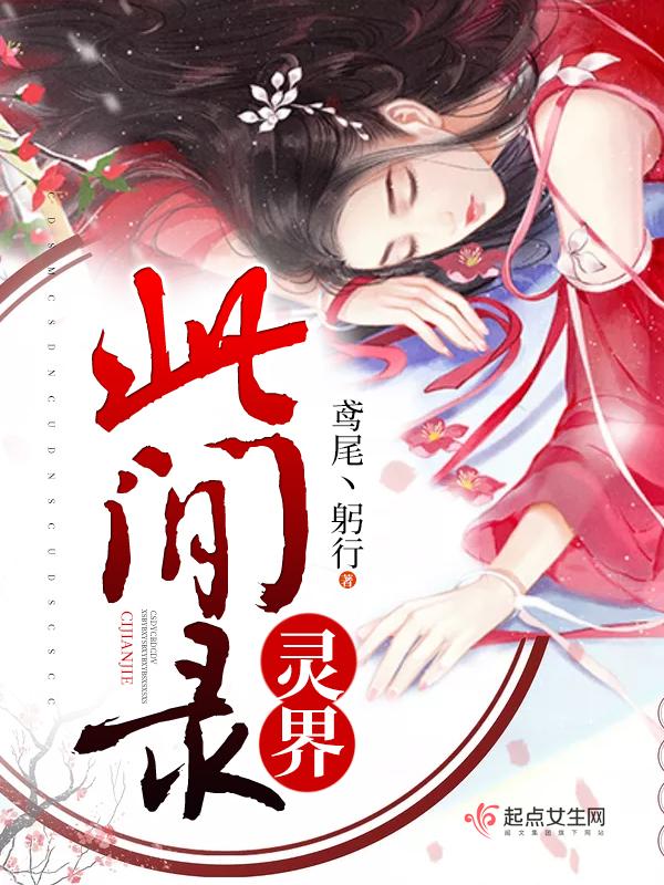 灵界此间录评价