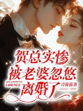 贺总的闪婚暖妻全文免费阅读