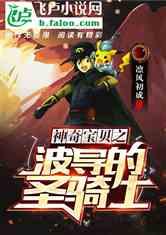 神奇宝贝之波导的圣骑士亲亲网