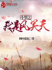 穿越斗罗之我是风笑天