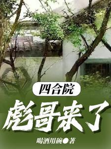 四合院老家