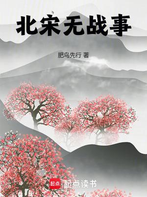 北宋战争历史