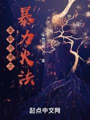 全职法师免费