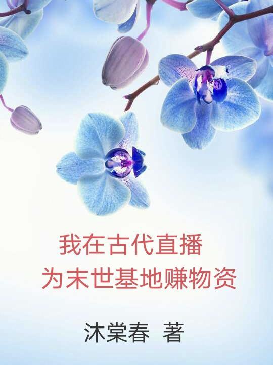 我在古代直播带货 作者洛湛