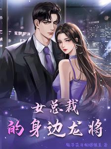 女总裁的上门龙婿免费完整版