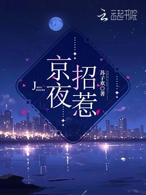 京夜招惹笔趣阁