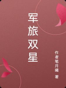 两星军衔是什么级别