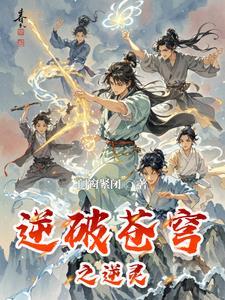 逆苍穹满v版
