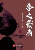 拳之霸者笔趣阁全本
