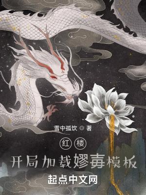 红楼开局加载嫪毐模板TXT