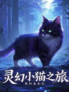 猫小白之幻境灵踪事件