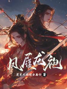 凤袍是什么意思