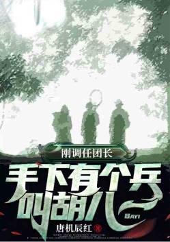 手下有个兵叫胡八一TXT