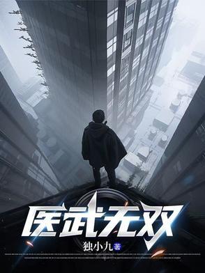 医武无双 苏藏锋
