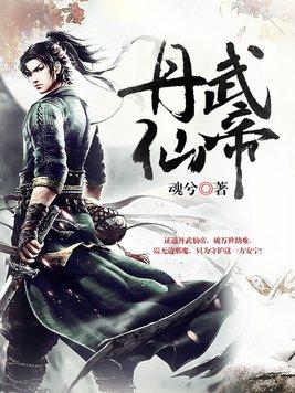 丹武仙帝叶无仙
