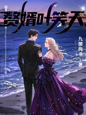 赘婿叶天